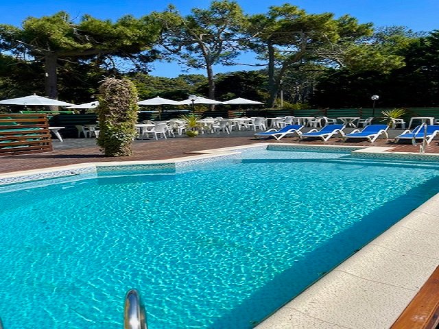 Pileta exterior entre los pinos